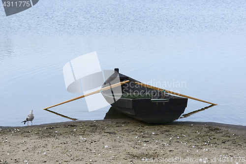 Image of wooden boat on the shore and a seagull