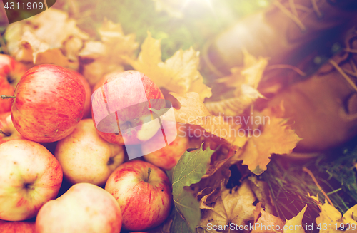 Image of woman feet in boots with apples and autumn leaves