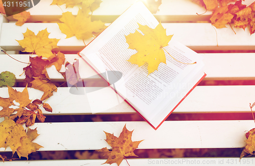 Image of open book on bench in autumn park