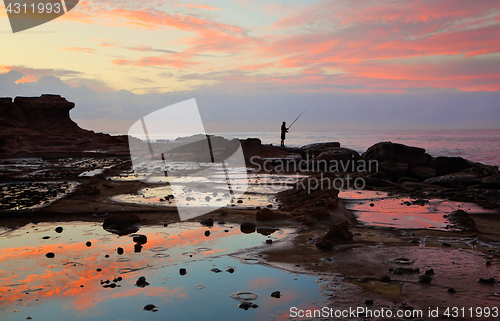 Image of Low tide on the rockshelf