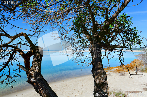 Image of Pristine waters of Mallacoota Victoria Australia