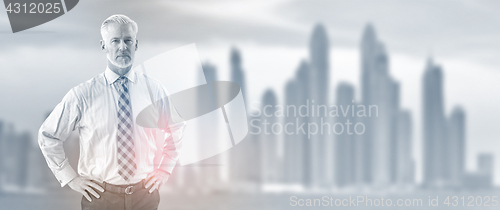 Image of Senior businessman in front of the big city