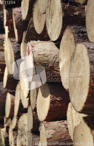 Image of stacked logs