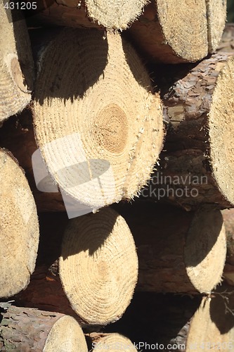 Image of stacked logs