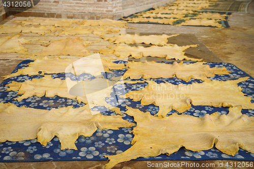 Image of Old tannery in Fez, Morocco