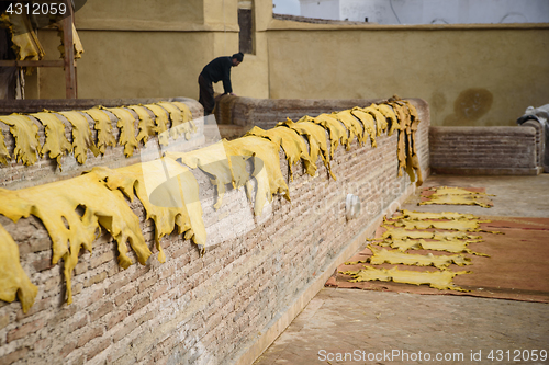 Image of Old tannery in Fez, Morocco