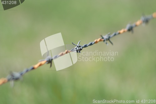 Image of barbed wire