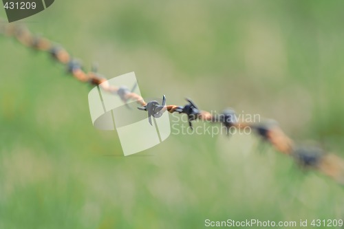 Image of barbed wire