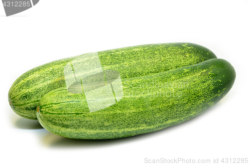 Image of Fresh green cucumber