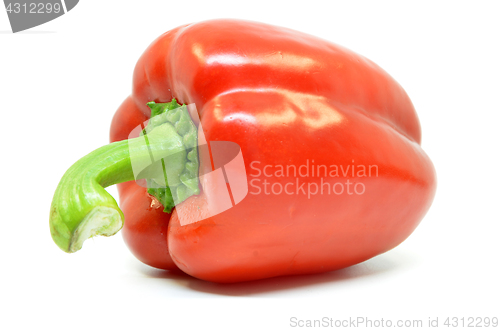 Image of Single red pepper