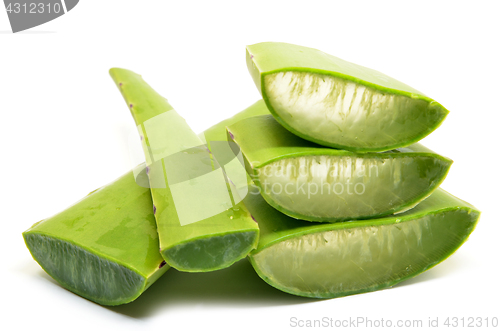 Image of Aloe vera fresh leaf isolated