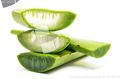 Image of Aloe vera fresh leaf isolated