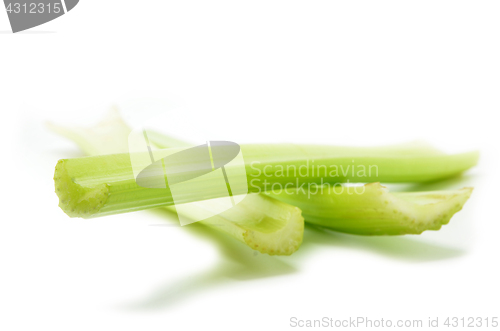 Image of Fresh green celery