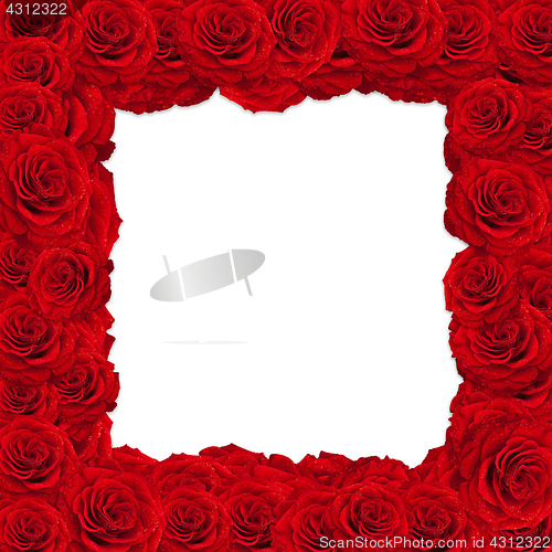 Image of roses frame