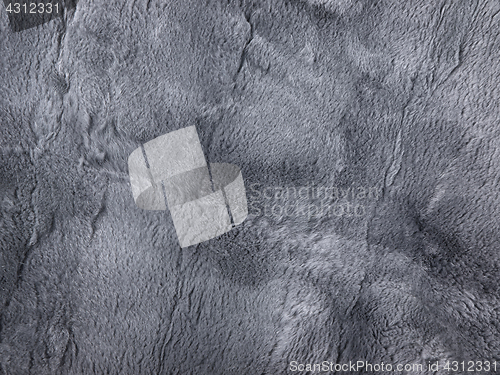 Image of natural fur background