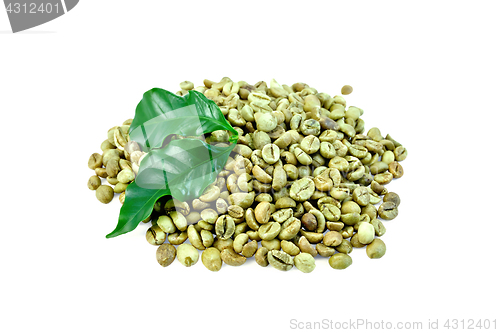 Image of Coffee green grain with leaf