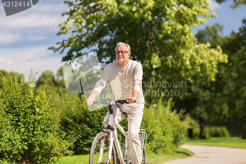 Image of happy senior man riding bicycle at summer park