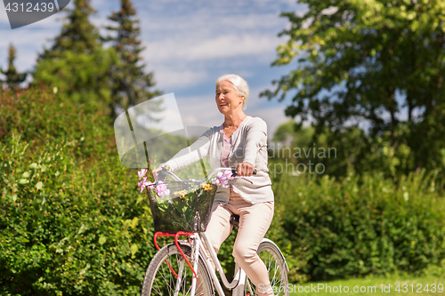 Image of happy senior woman riding bicycle at summer park