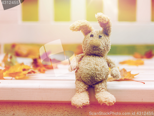 Image of toy rabbit on bench in autumn park