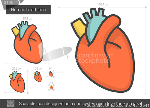 Image of Human heart line icon.