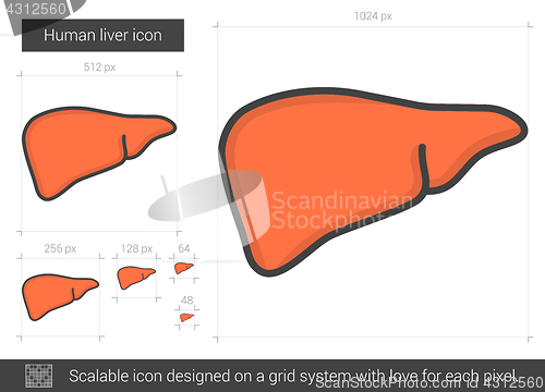 Image of Human liver line icon.