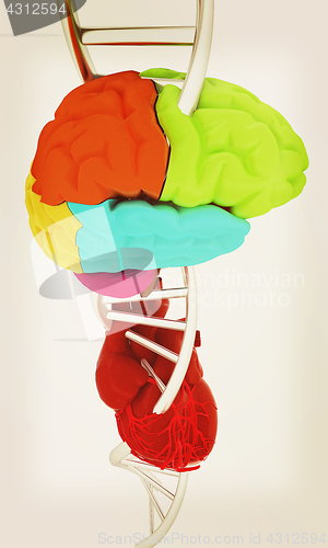 Image of DNA, brain and heart. 3d illustration. Vintage style.