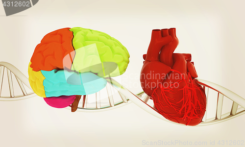 Image of DNA, brain and heart. 3d illustration. Vintage style.