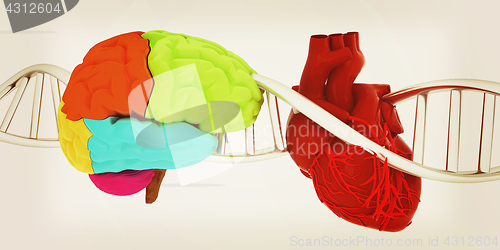 Image of DNA, brain and heart. 3d illustration. Vintage style.