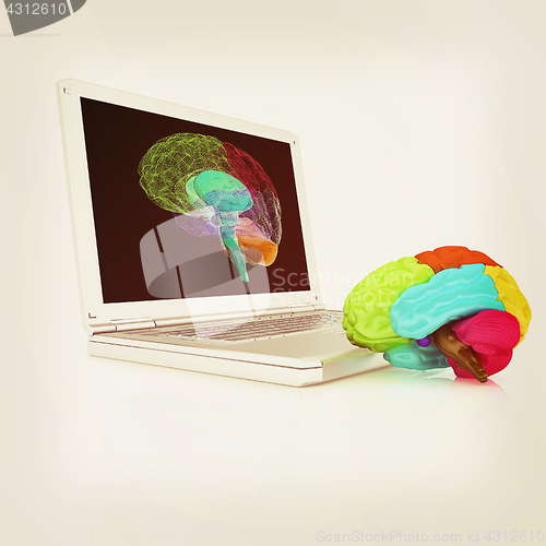 Image of creative three-dimensional model of real human brain and scan on