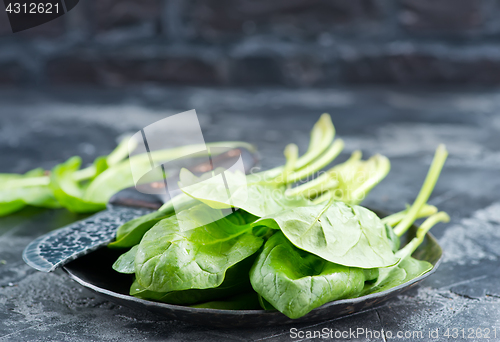 Image of fresh spinach