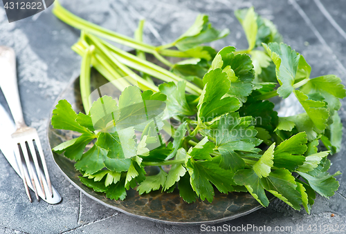 Image of fresh celery