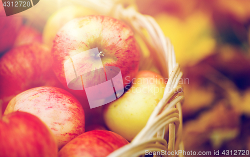 Image of wicker basket of ripe red apples at autumn garden