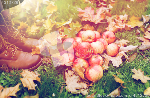 Image of woman feet in boots with apples and autumn leaves