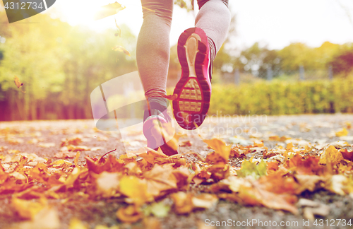 Image of close up of young woman running in autumn park