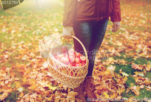 Image of woman with basket of apples at autumn garden