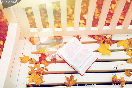 Image of open book on bench in autumn park