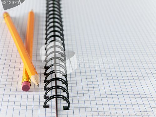 Image of sheet in a cage with two pencils