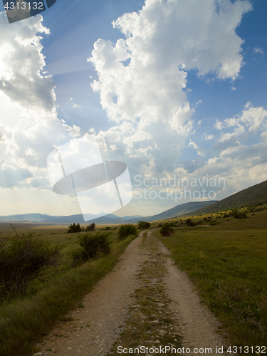 Image of summer landscape