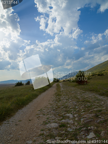 Image of summer landscape