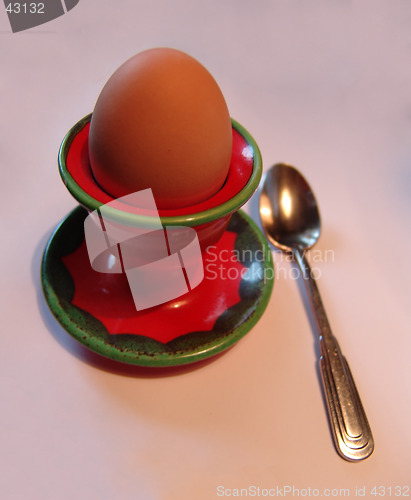 Image of Egg