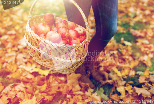 Image of woman with basket of apples at autumn garden