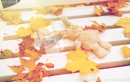 Image of toy rabbit on bench in autumn park