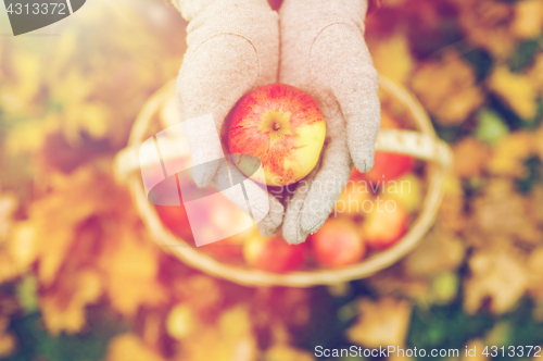 Image of woman with basket of apples at autumn garden