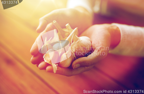 Image of woman hands holding garlic