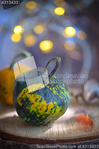 Image of Autumn decoration with small pumpkins