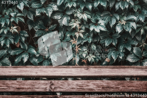 Image of Wet Leaves Over Wooden Planks