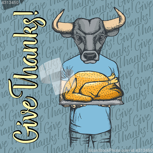 Image of Vector illustration of Thanksgiving bull concept