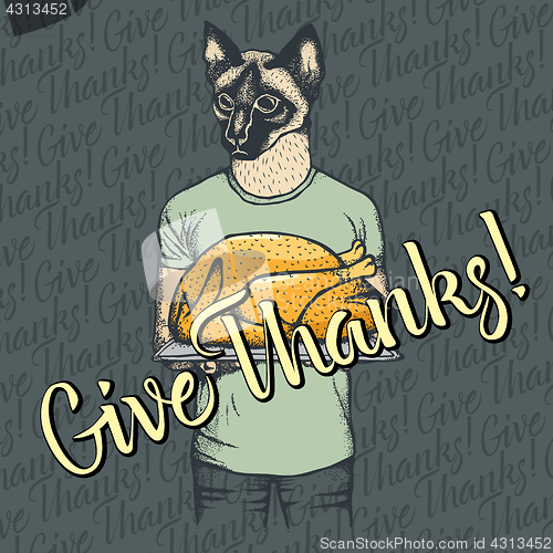 Image of Vector illustration of Thanksgiving cat concept