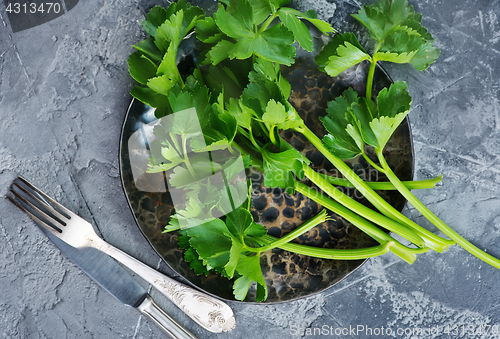 Image of fresh celery