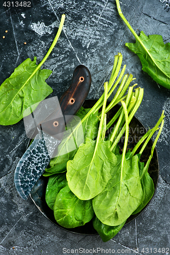 Image of fresh spinach